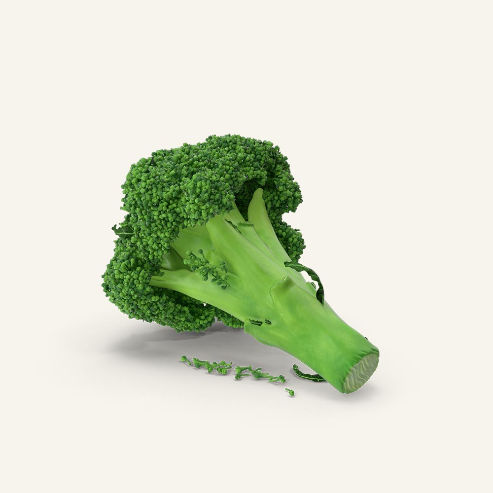 Broccoli.H03.2k.jpg