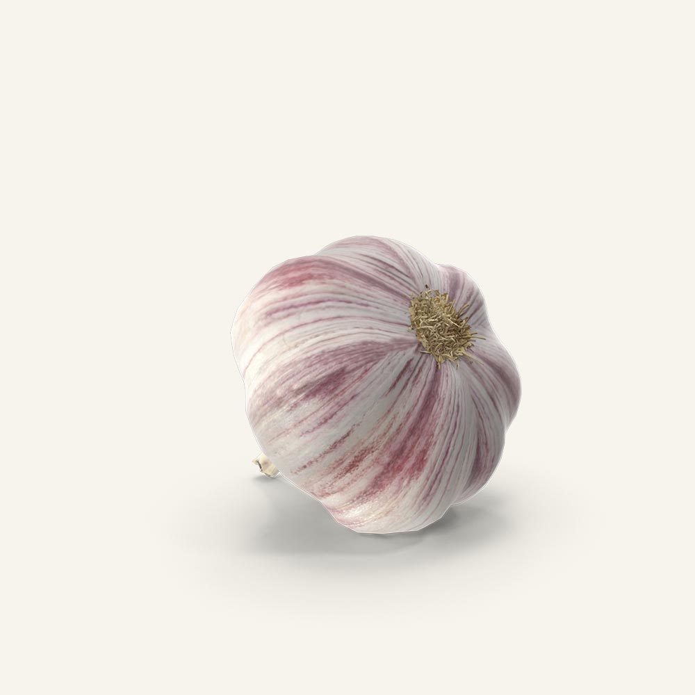 Garlic.H03.2k.jpg