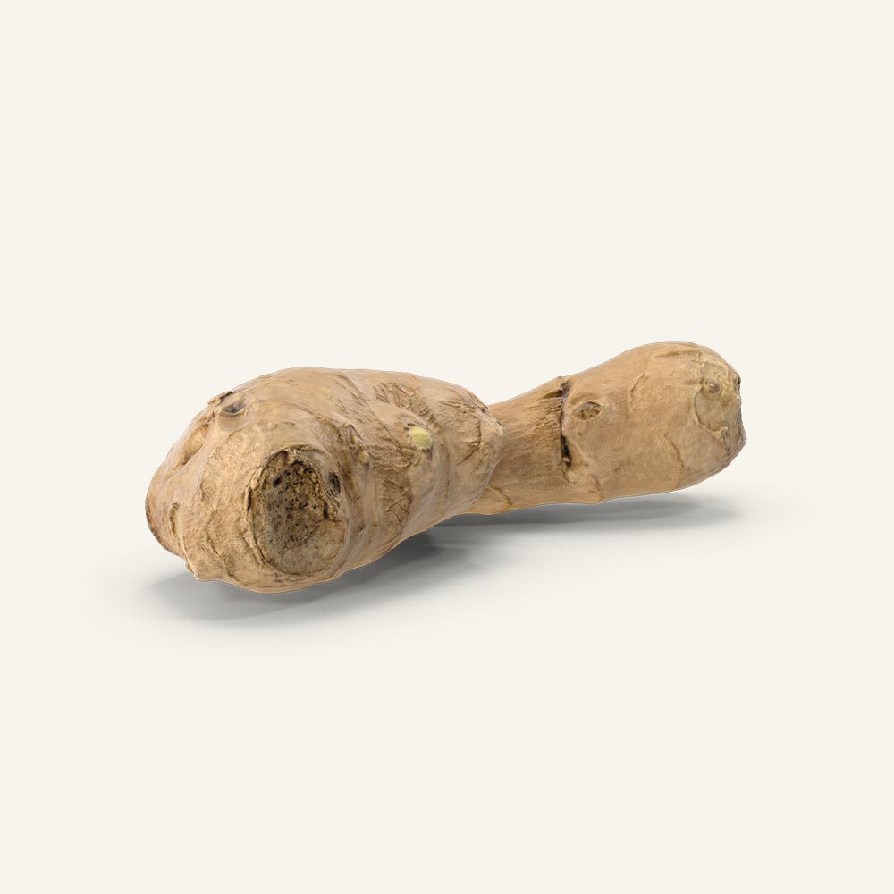 Ginger-Root.H03.2k.jpg