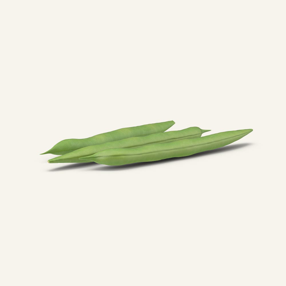 Green-Beans.H03.2k.jpg