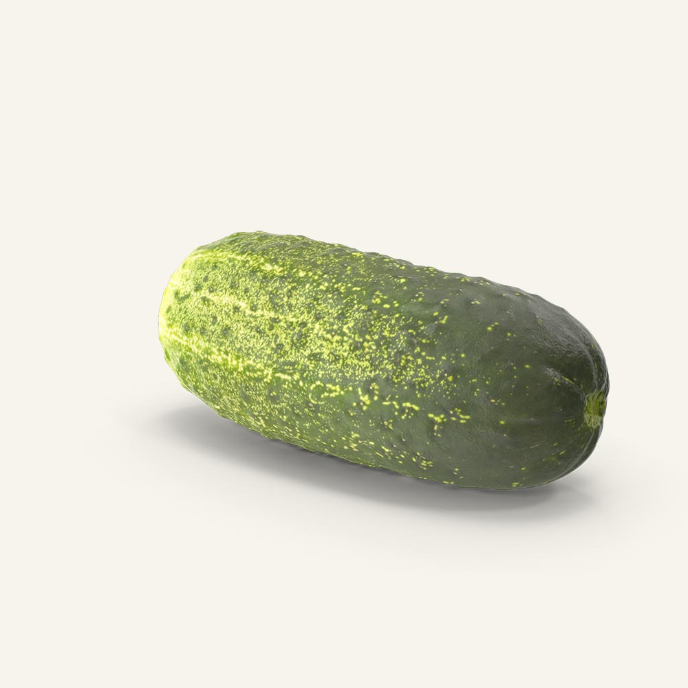 Pickling-Cucumber.H03.2k.jpg