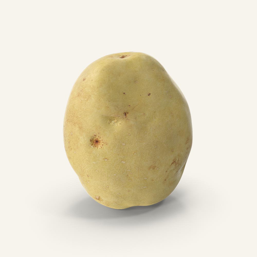 Potato.H03.2k.jpg