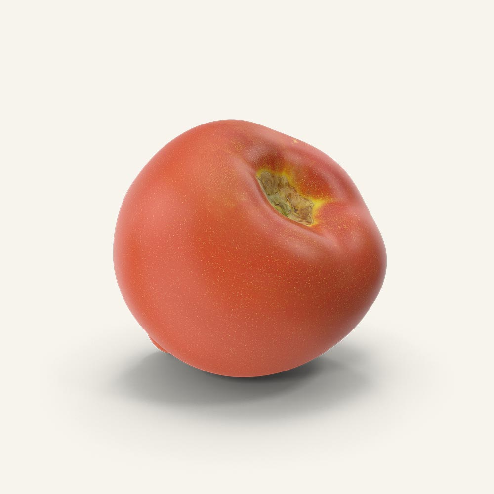 Tomato.H03.2k.jpg